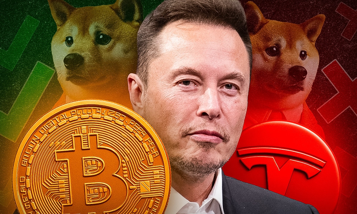 Bitcoin besser als Tesla - Lässt Musk jetzt Doge fallen? - 99bitcoins DE