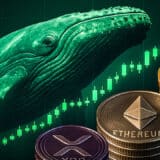 Krypto News: Wale bleiben bullisch für BTC, ETH & XRP