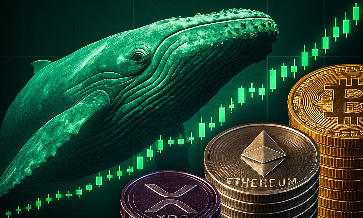 Krypto News: Wale bleiben bullisch für BTC, ETH & XRP