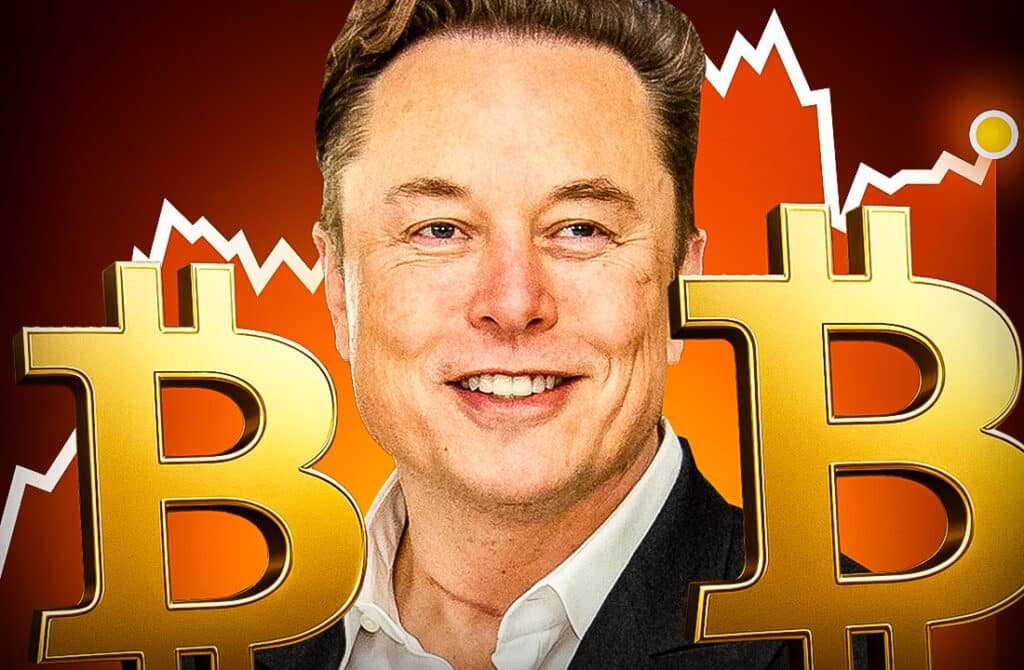 Elon Musk und mysteriöse Bitcoin-Bewegungen: Es bleibt spannend