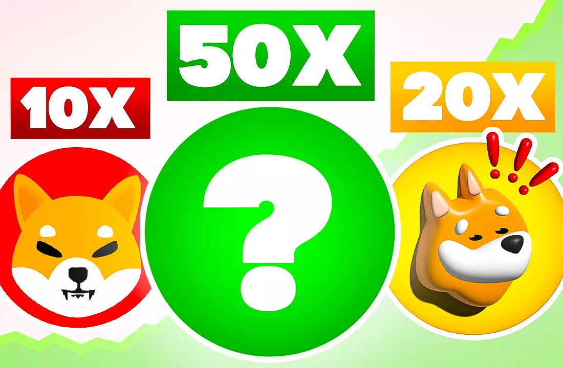 Beste Meme Coins: x10, x20 oder x50?
