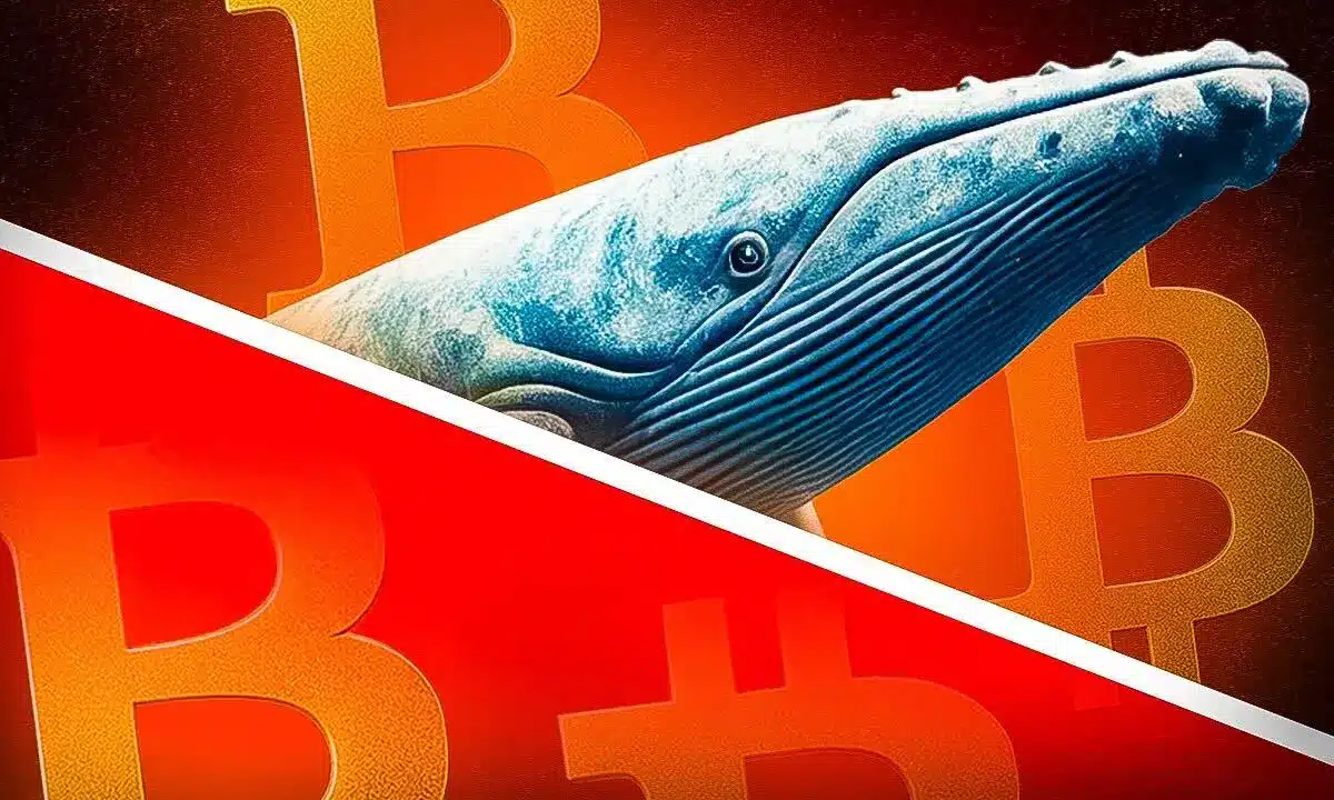 Mysteriöser Bitcoin-Wal verkauft seine Coins nach Milliardengewinn