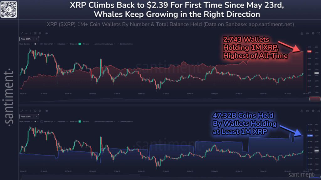 XRP-2
