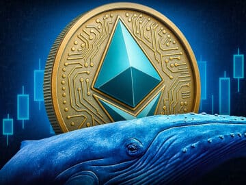 Krypto News: Wale kaufen aggressiv Ethereum