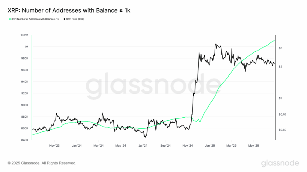 glassnode-studio_xrp-number-of-addresses-with-balance-1k