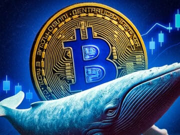 1% aller Bitcoin gekauft: So viel kaufen Krypto-Wale in 4 Monaten