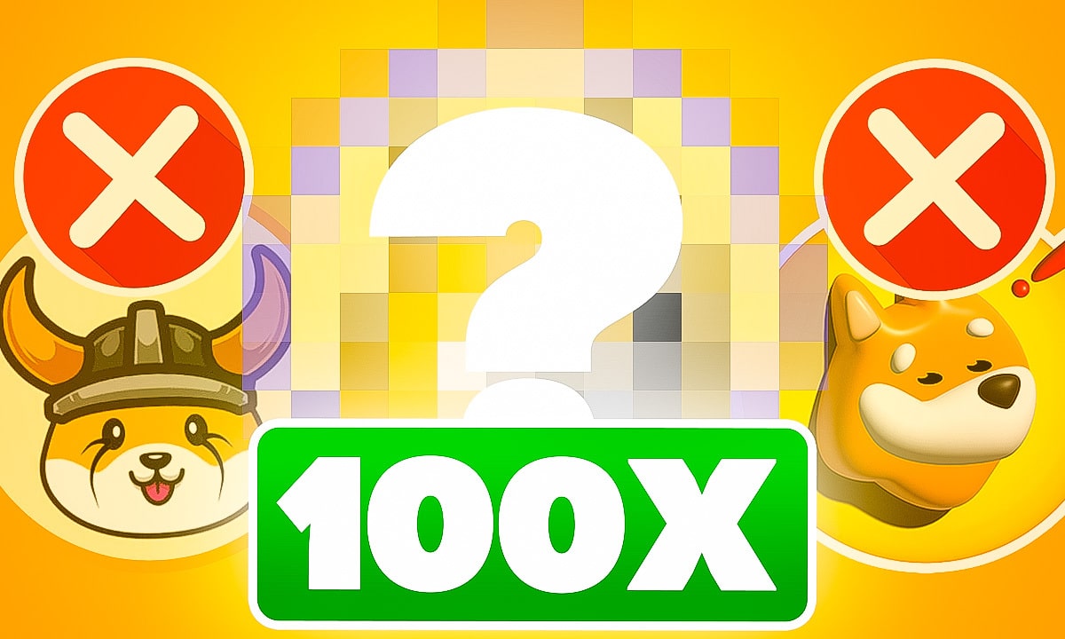 Weder BONK noch FLOKI - Dieser Memecoin hat noch 2025 100x Potenzial -  99bitcoins DE