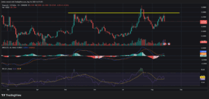 Doge Coin: Bull Run gerät ins Stocken – wie geht es weiter?