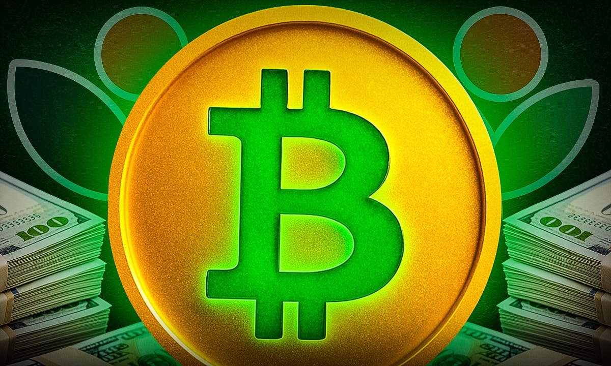 Kindly MD’s will 5 Mrd. Dollar mehr für Bitcoin – Altcoin-Liquidität in Gefahr?