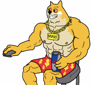 Maxi Doge kaufen oder nicht Unser Fazit