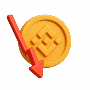 Warum kann Binance Coin an Wert verlieren?