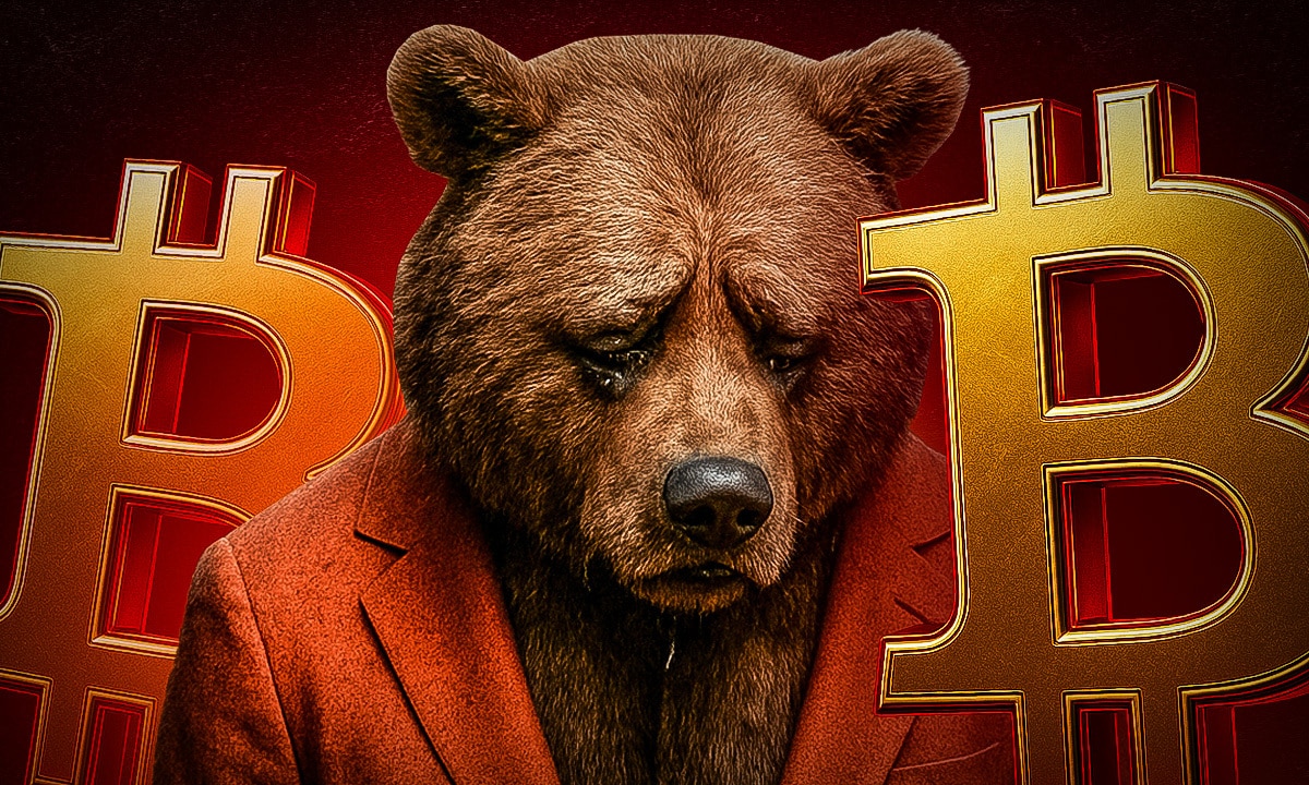 Bitwise CEO: “Wir sind am Ende des Bärenmarkts angekommen” - 99bitcoins DE
