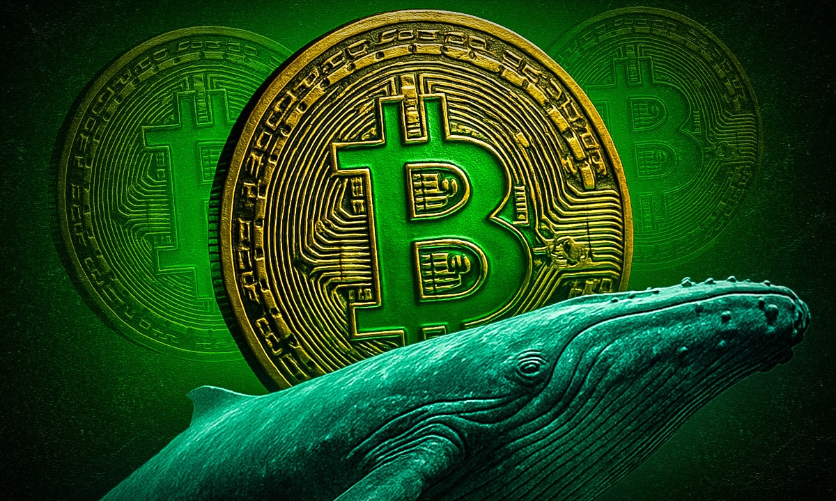 Schon wieder: Bitcoin-Wale erwachen nach 13 Jahren - 99bitcoins DE