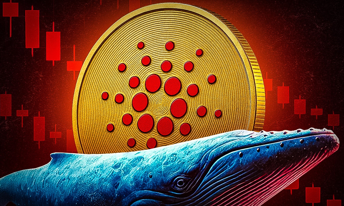 Cardano-Stimmung am Tiefpunkt – nutzen Wale die Schwäche? - 99bitcoins DE