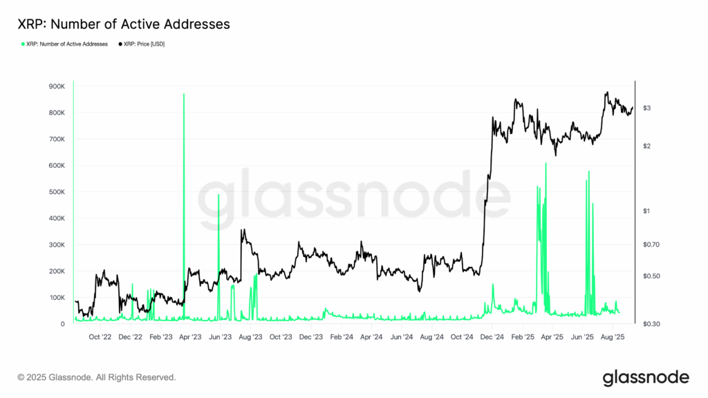 XRP Aktive Adressen