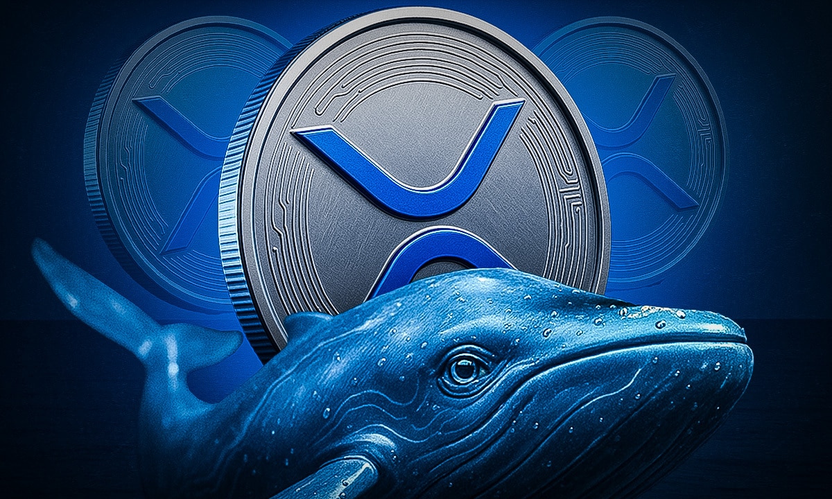 XRP Kaufsignal? On-Chain-Daten zeigen Unglaubliches
