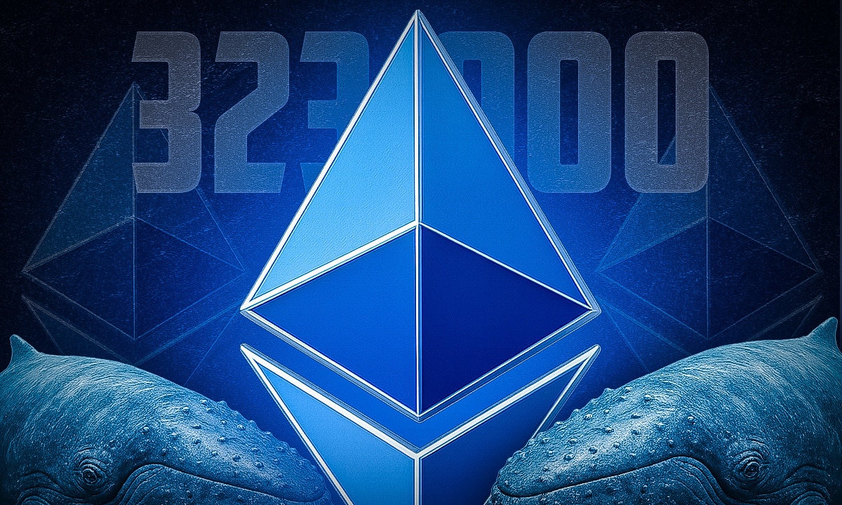 Ethereum unterliegt massiver Akkumulation durch Wale: 323.000 ETH in 48  Stunden aufgesammelt - 99bitcoins DE