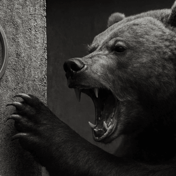 Bitcoin Prognose: Bärenmarkt ist da – beste Chance vor Bull-Run in 2026?