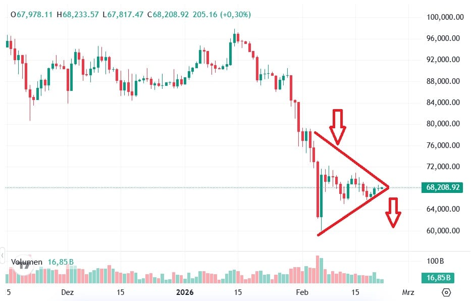 Bear Pennant
