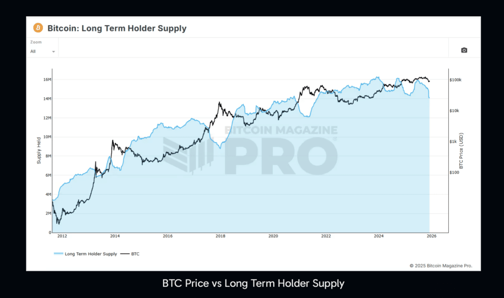 Long Term Halter