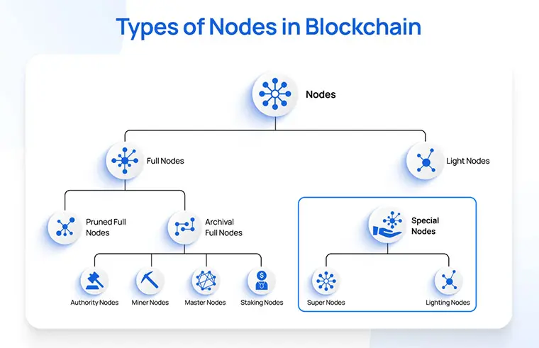 Diagram illustrating types of blockchain nodes, including full, light, pruned, archival, and special nodes.
