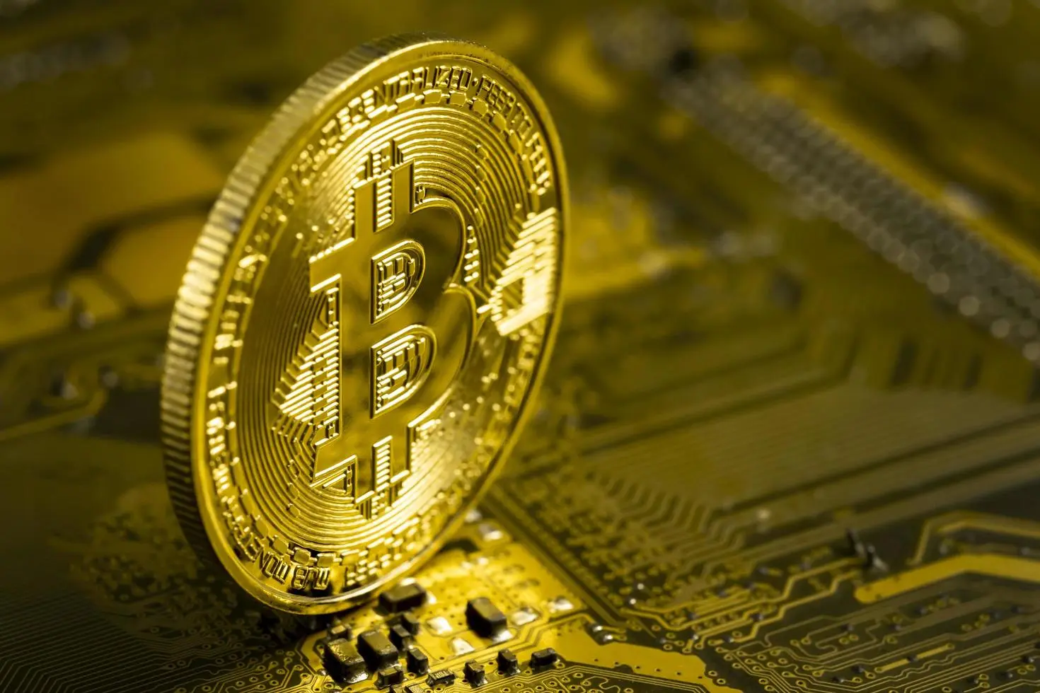 Macro shot of a gold Bitcoin coin standing on a gold-colored circuit board
