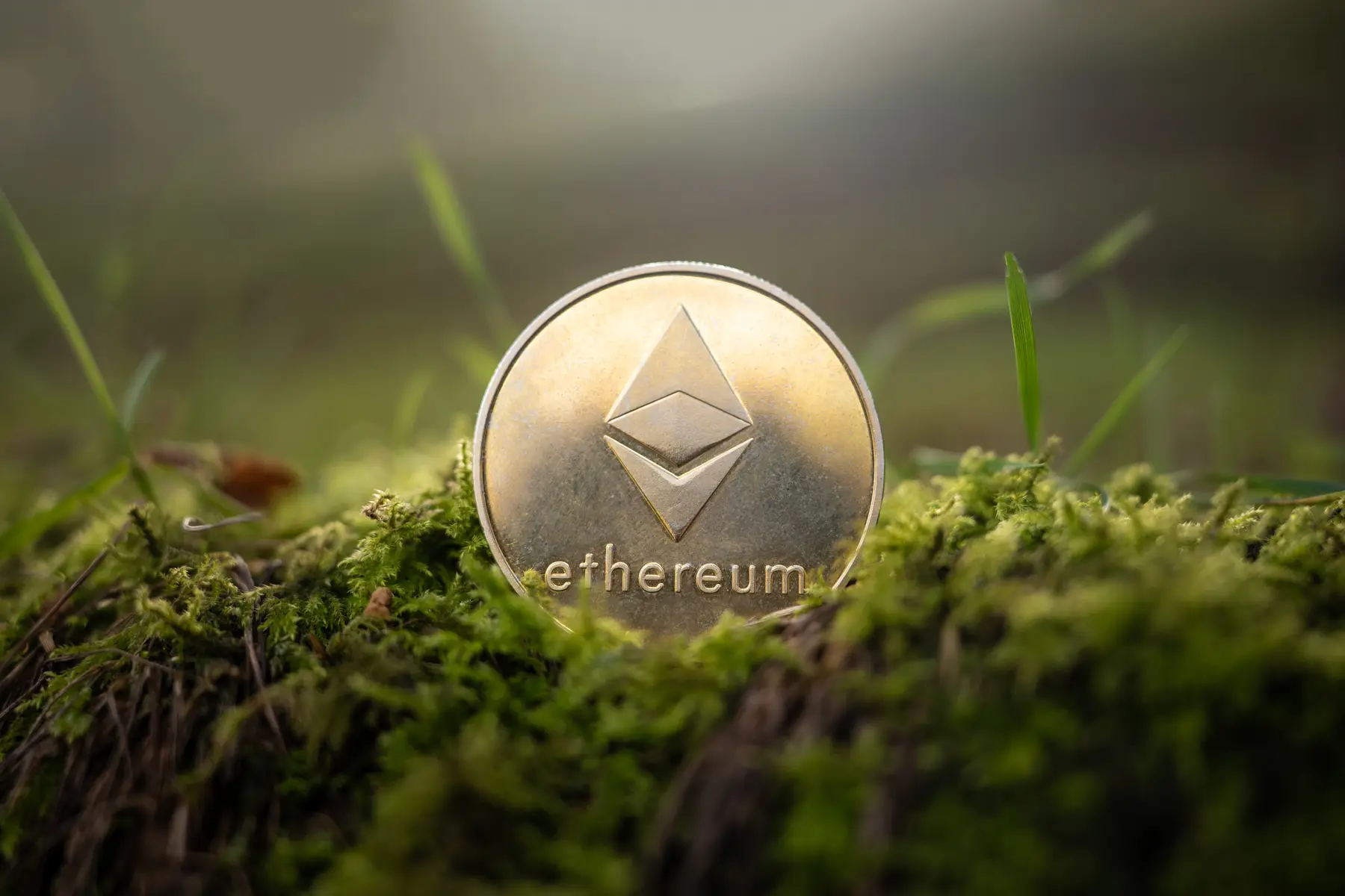 Eine physische Ethereum-Münze mit dem Logo, die auf grünem Moos im Freien liegt.
