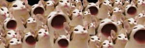 popcat