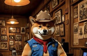 shiba shootout