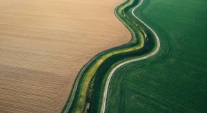 paisaje verde