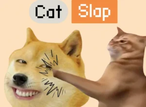 catslap doge