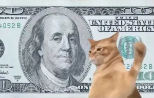 catslap logo