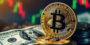 Los países que aceptan Bitcoin establecen diferentes tipos de regulación