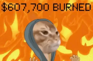 catslap quema