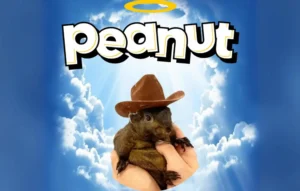 peanut the squirrel