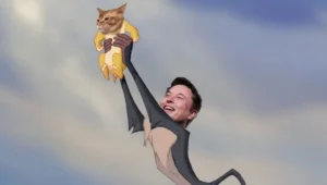 catslap musk