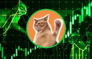 comprar catslap