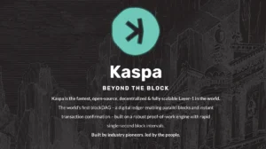 kaspa wallet