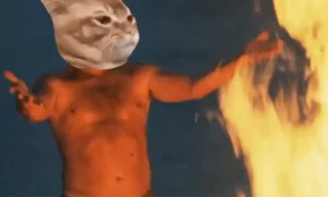 catslap token