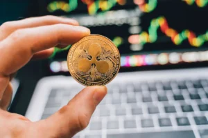 wallet de xrp