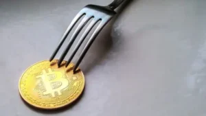 bitcoin fork qué es