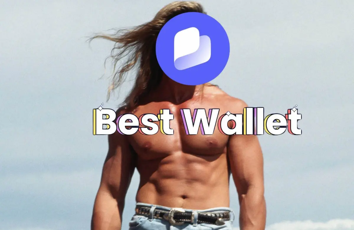 la ia dice best wallet