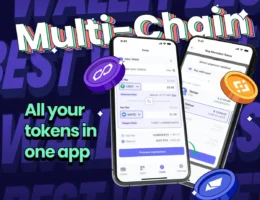 la mejor wallet multicadena