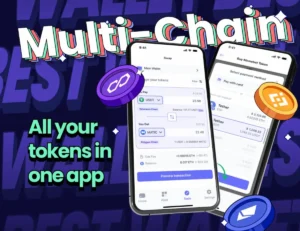 la mejor wallet multicadena