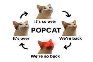popcat sube