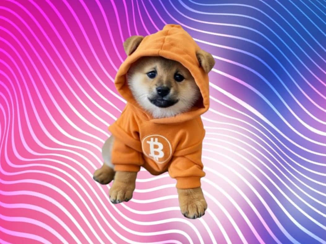 Predicción del precio de DOG para finales de 2025: ¿Nueva capa 2 de Bitcoin para potenciar el ecosistema BTC?