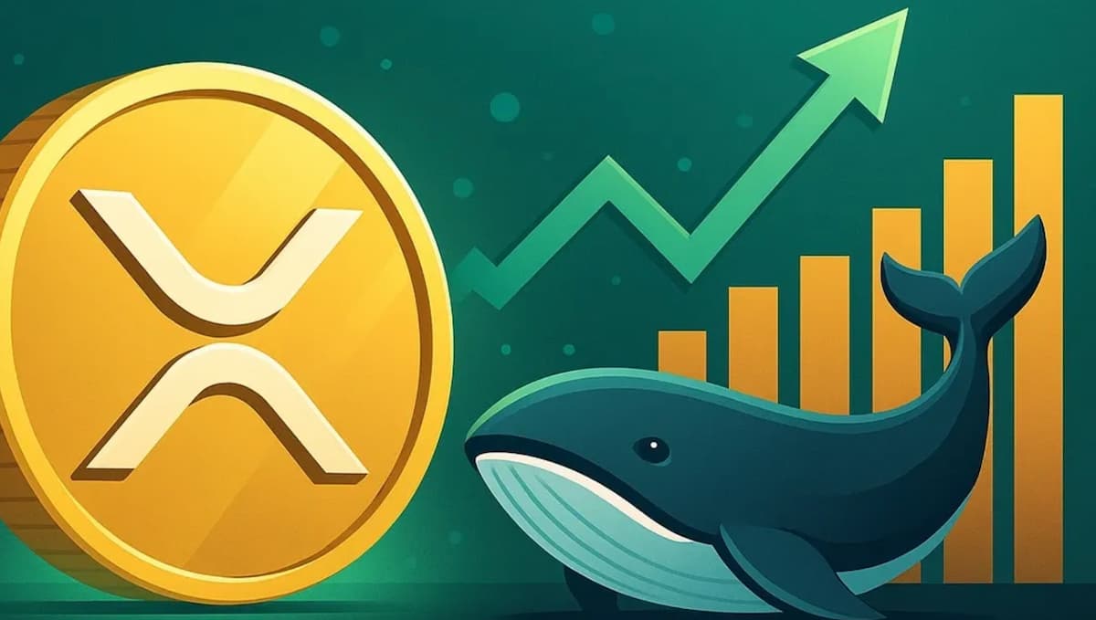 Las ballenas de XRP alcanzan un máximo histórico; el precio sube un 29 %