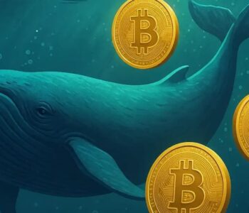 La adopción institucional de Bitcoin bate récords: 100 empresas poseen en conjunto 920.866 BTC