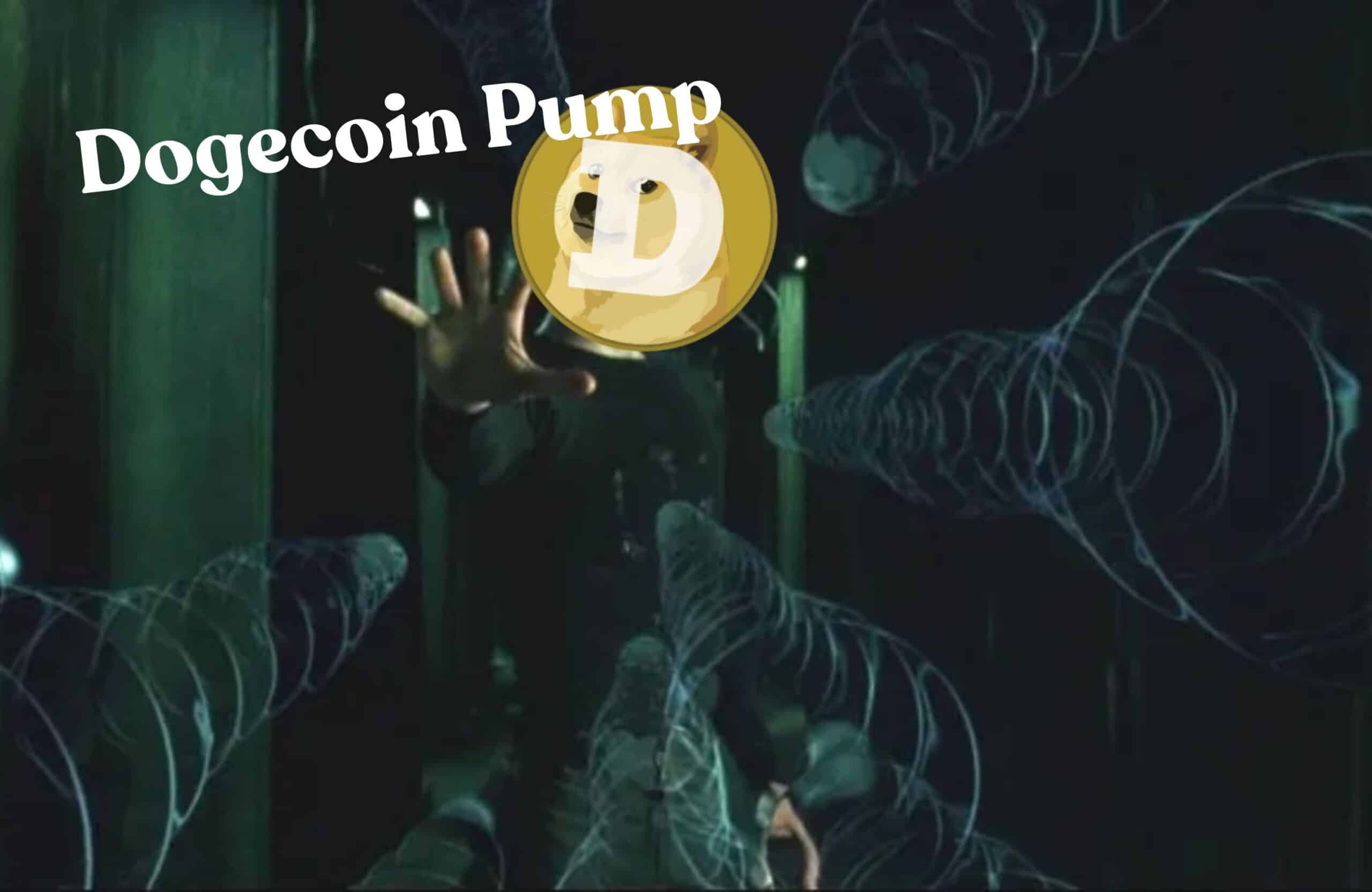 Dogecoin desafía la caída tras la compra de una empresa minera por la  familia Trump