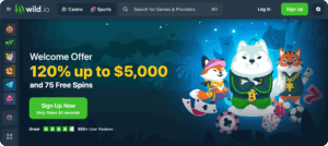 casino bizum - wild.io